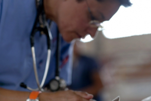 О нас - ветеринарная клиника