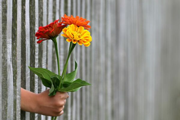 img3710967.png