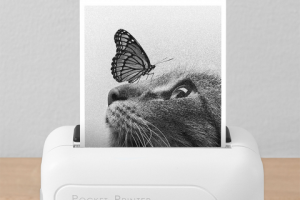 Бумага для принтера