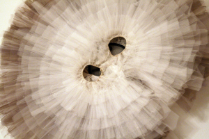 Зачем волонтерам балетные пачки?