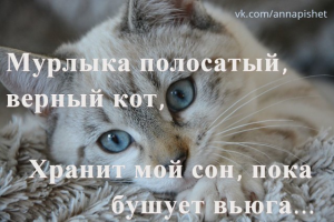 Мурлыка полосатый, верный кот