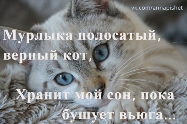 img3772440.png