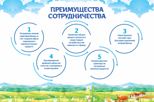 Презентация