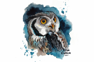 Сова. Акварельная иллюстрация