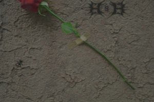 Border's Burial - Unsuccessful Therapy