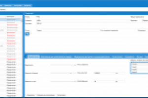 ERP компании "Метрополис"