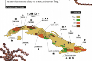 Инфографика для журнала
