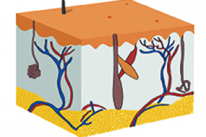 Работа 3966740