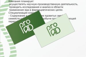 Фирменный стиль ЯД