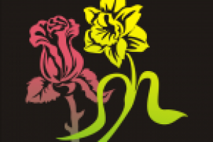 нарцыс и роза