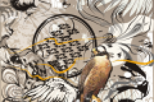 сокол -продана