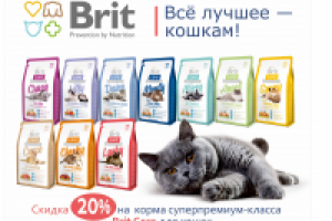 Работа 2513142