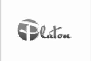 Работа 838621