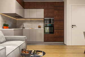 Кухня-гостиная