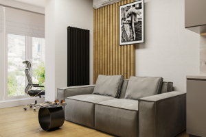 Кухня-гостиная