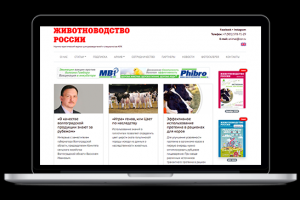 Кейс по продвижению сайта Zzr.ru