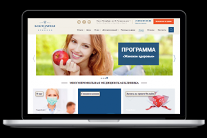 Кейс по продвижению сайта Clinica-blagodat.ru