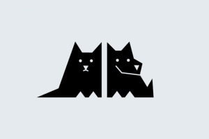 Кот и Собака