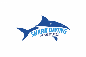 Shark Diving