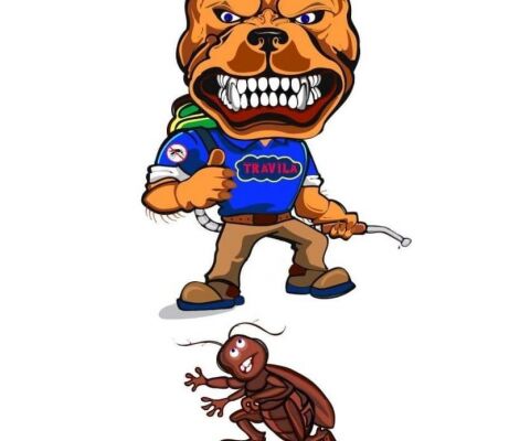 img4386026.png