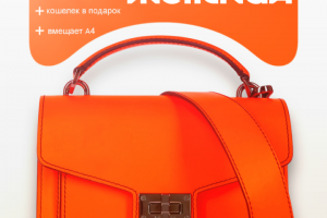 ИНФОГРАФИКА. СУМКА ЖЕНСКАЯ.