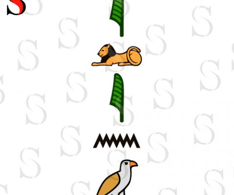 img3172504.png