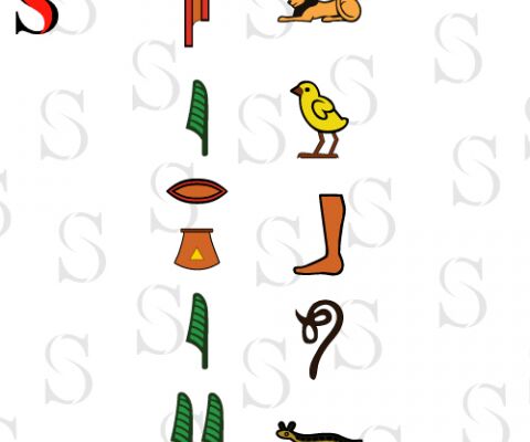 img3172527.png