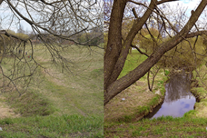 Обработка фотографии, придание живости и сочности природе