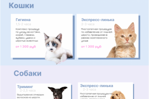 Сайт грумминг студии "Чистая Лапка"