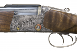 Серия ружей к 65-летию Победы