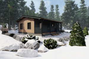 Дом каркасный Зима