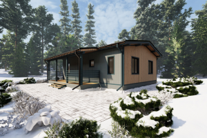 Дом каркасный Зима