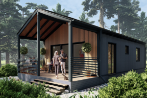 Дом каркасный