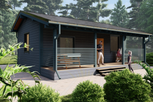 Дом каркасный