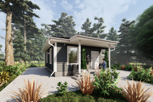 Дом каркасный