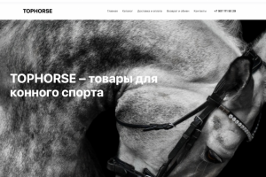 Интернет-магазин