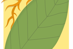 Анимированный постер "Твори!"