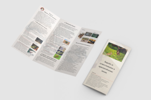 Буклет экология