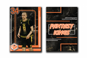 Коллекционная карточка игрока