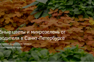 Сайт на Wordpress доработка функционала Интернет - магазина