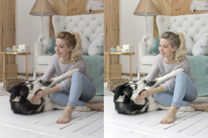 Работа 3328682