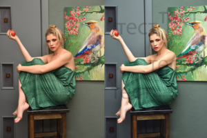 Работа 3328681