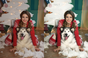 Работа 3328679