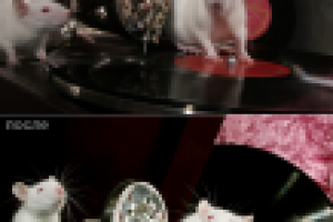 Замена персонажа на календаре