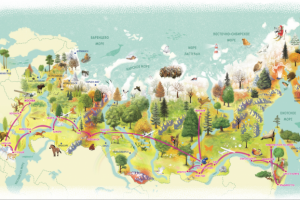 Карта маршрута экологической экспедиции