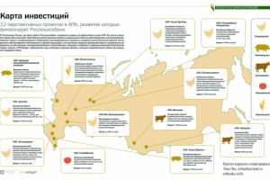 Инфографика в журнал