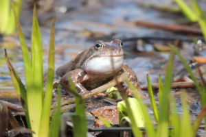 Тревел блог