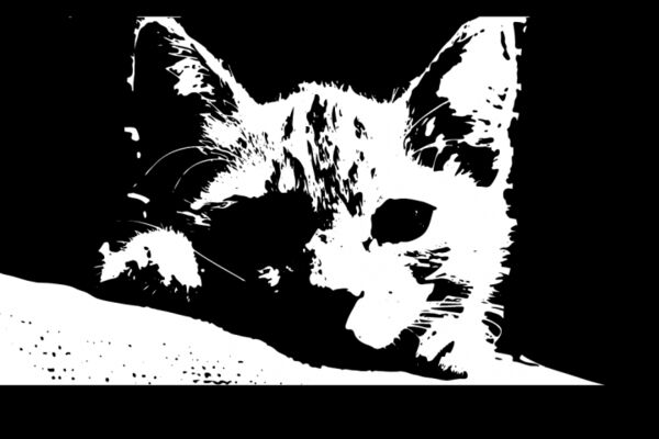 img4605951.png