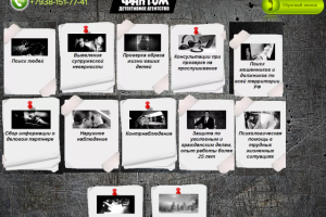 Директ - детективное агенство