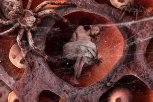 В плену леденящего ужаса